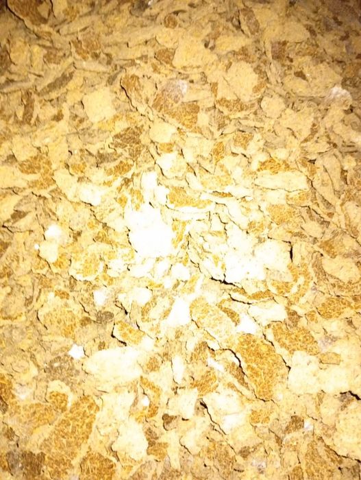 Продам макуху льняну i соняшникову