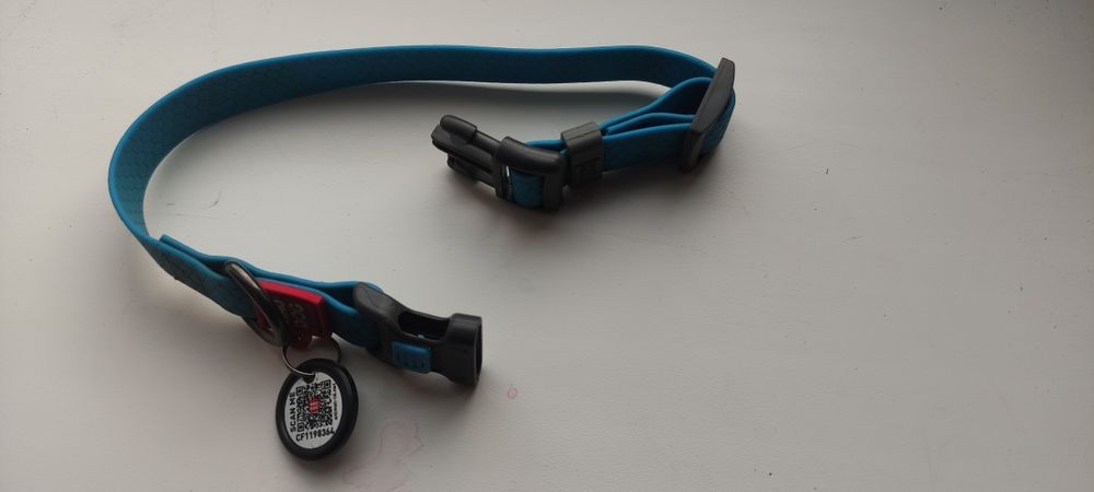 Намордник и ошейник