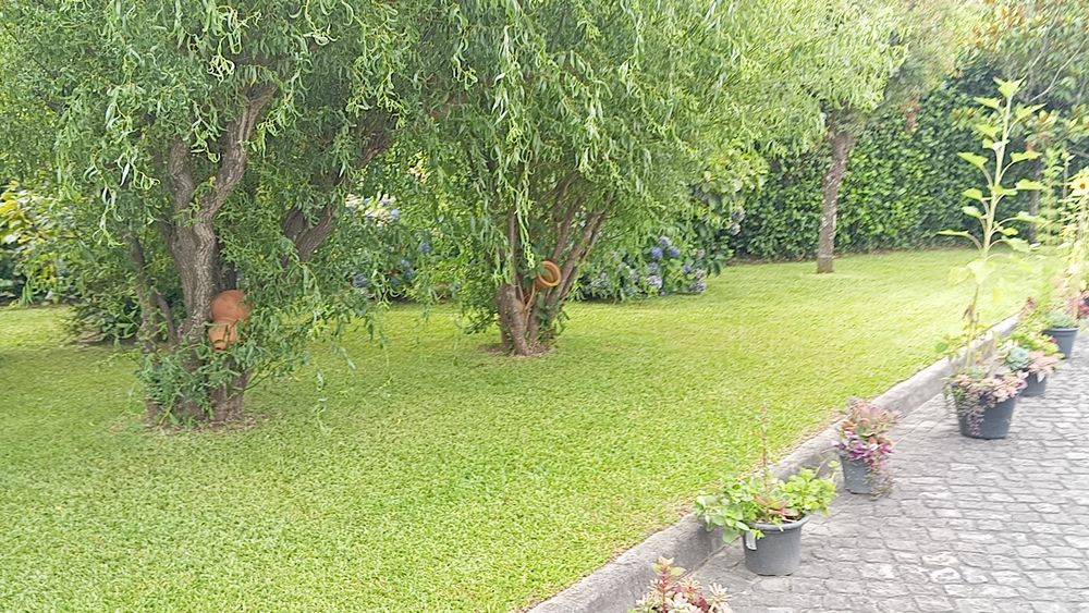 Jardineiro ao seu dispor
