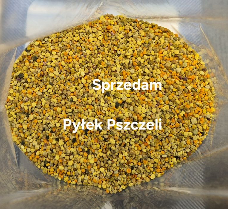 Pyłek Pszczeli 1 kg