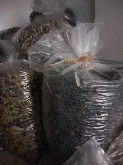 Azeite 100% BIOLÓGICO