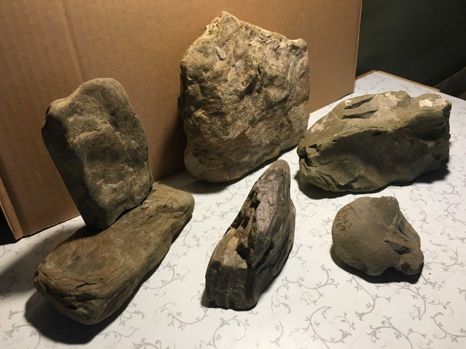 Зоотовари для дизайну тераріум