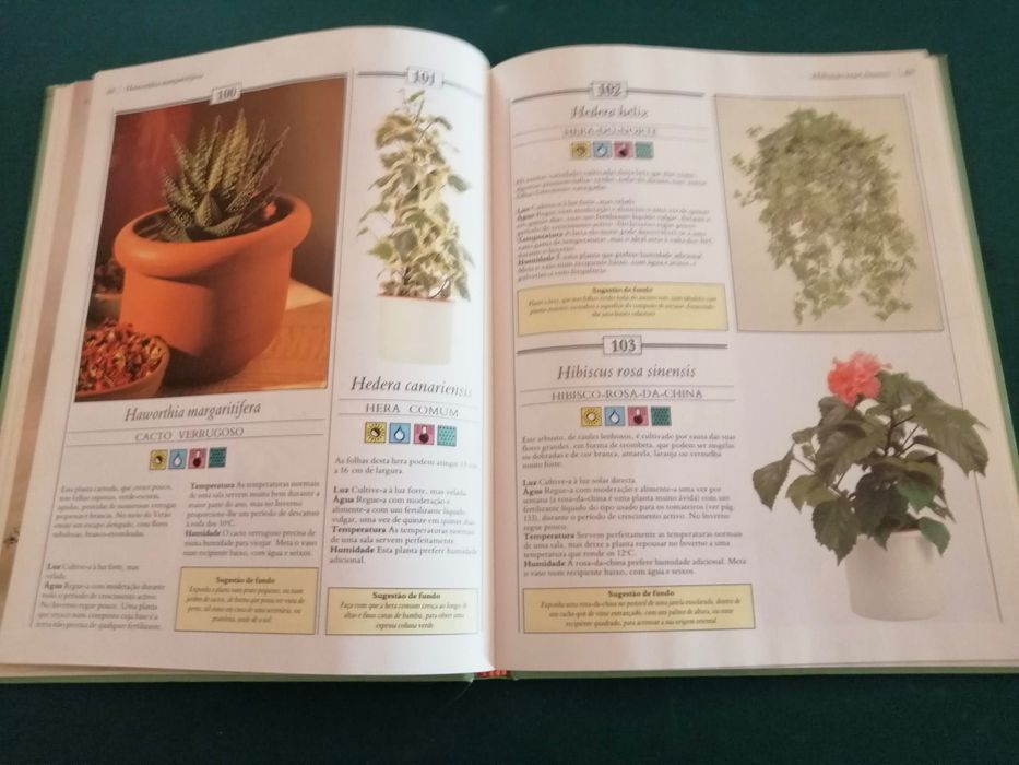 200 Plantas de Interior