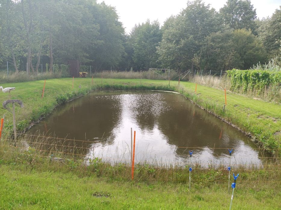Działka rolna 3000m2 że stawkiem i domkiem pod rekreację