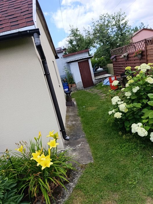 Sprzedam Ogródek działkowy Podwale/ Warpie/Do negocjacji - Widok 2
