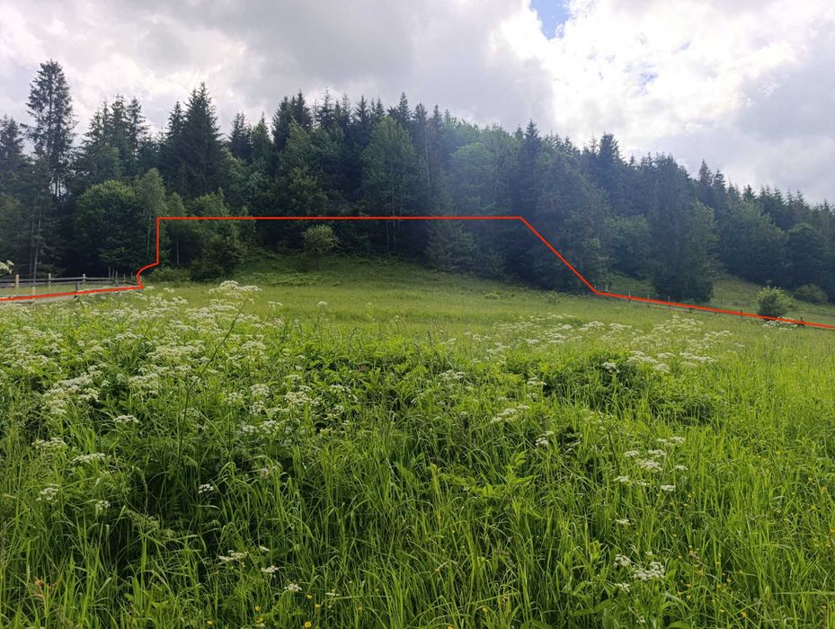 Земельна ділянка 0,63 га в Карпатах | Снідавка, Косівський район | 35 000 $