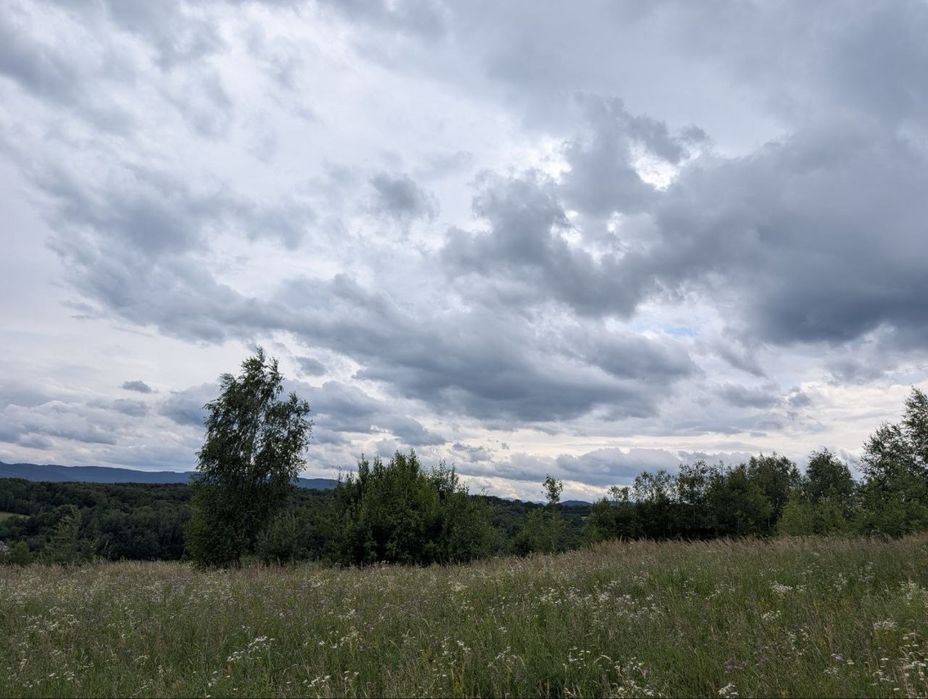 Продаж ділянки під будівництво в горах (Косівський р-н)