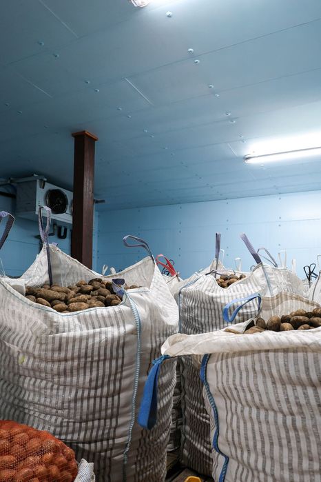 Płyta Dachowa Ścienna Sufitowa Ocieplenie Izolacja Styrodur XPS AGRO