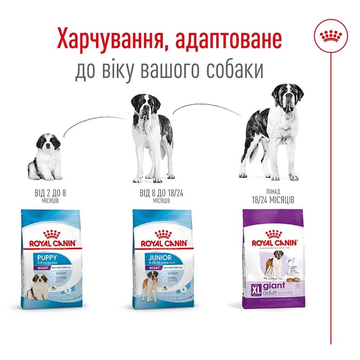 Royal Canin Giant adult Роял Канін для гігантів 15 кг.