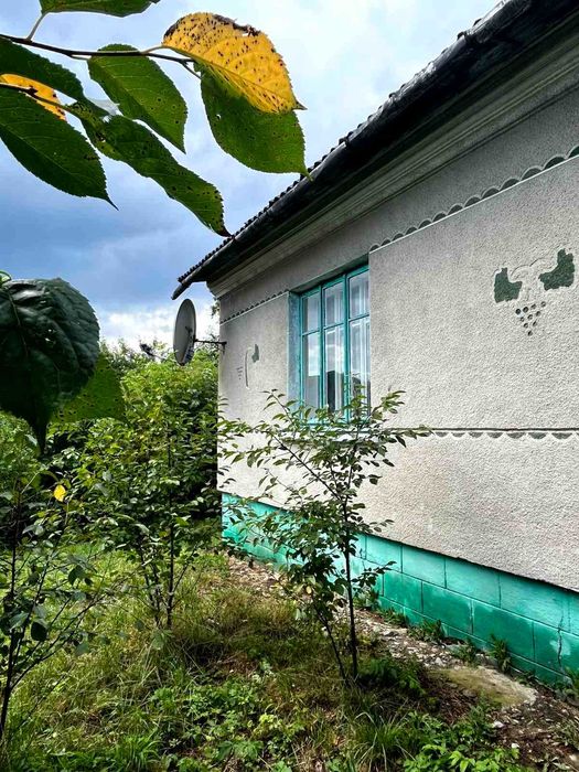 Продається будинок в селі Хлиплі
