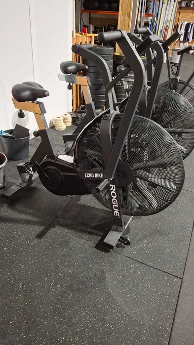 Rogue echo bike nova