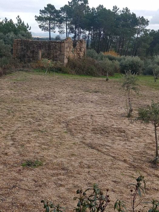 Vende-se Quintinha a Bom Preço