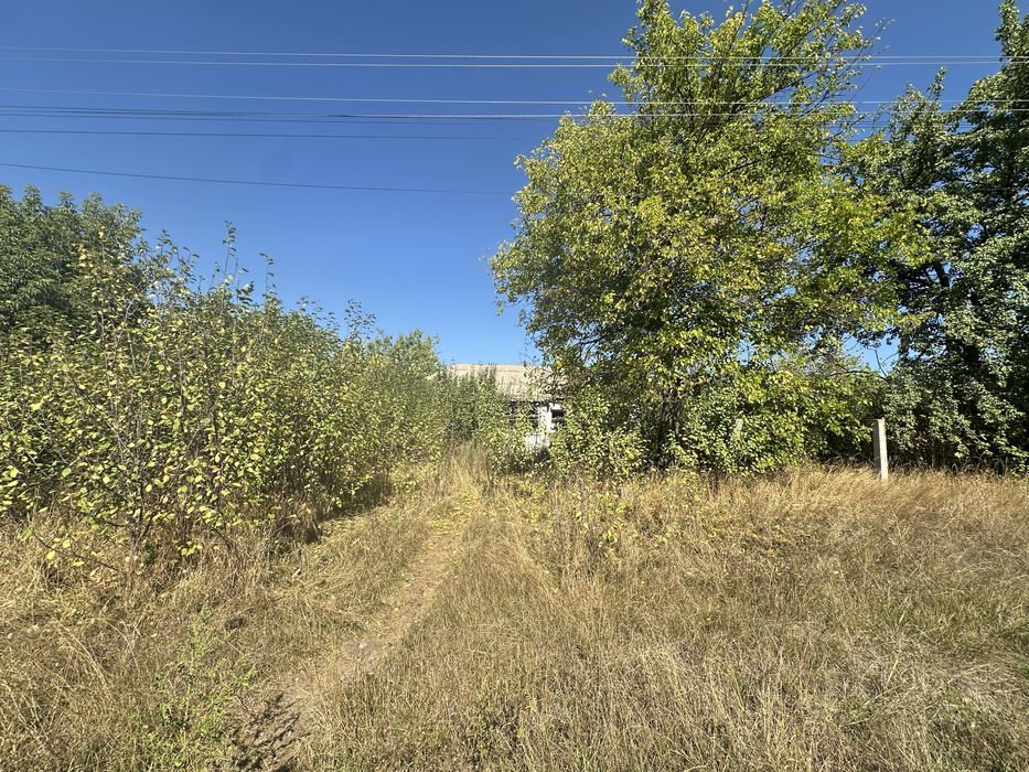 Іванків кутова Земельна ділянка 40 соток зі старим будинком вул. Незалежності номер 7 - Вид 5