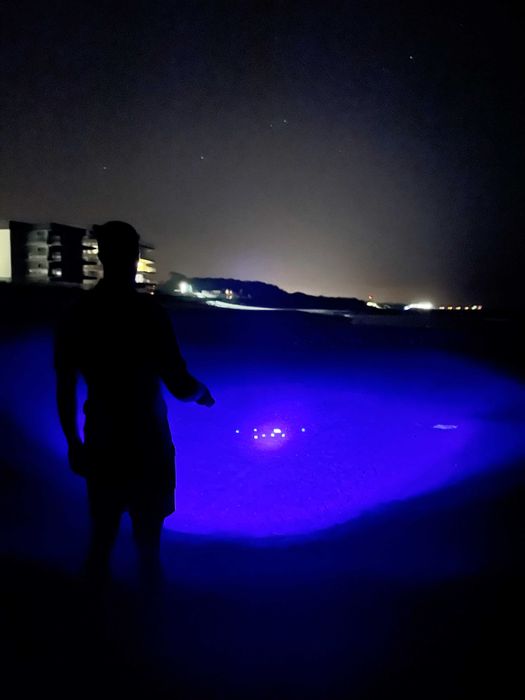 Zestaw PRO - latarka UV na bursztyn