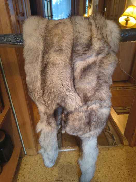 Futro, skóra, lis, etola