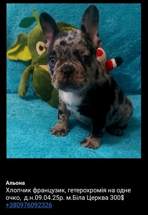 Чудний , веселий  хлопчик