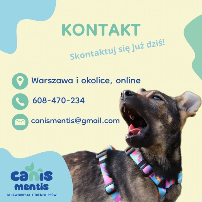 Behawiorysta - trener psów. Zapraszam na konsultacje behawioralne:)