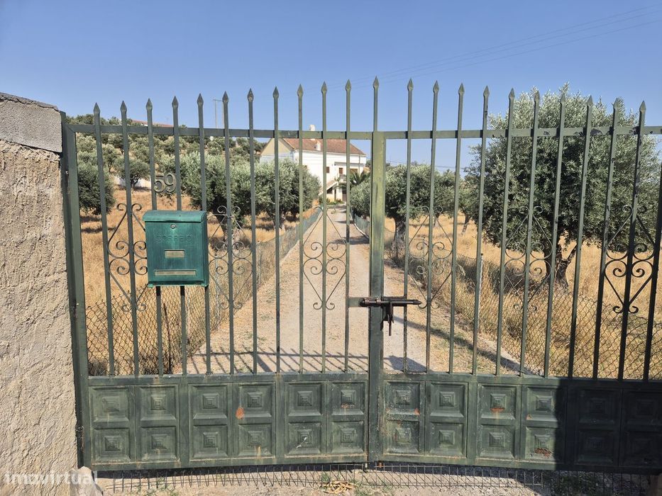 Quinta V5 com 15.000 m2 em Ourique