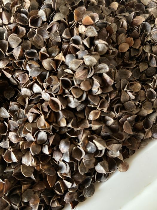 Гречана лузга (шелуха),. Наповнювач для подушок.  ЕКО.