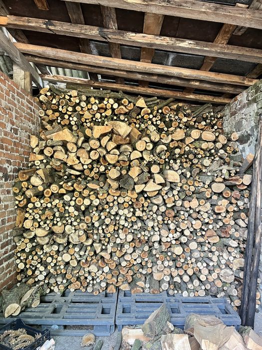 Suche drewno opalowe z drzew lisciastych