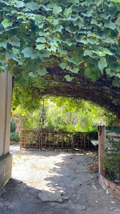 Затишний Будинок шукає нову родину Харків,Жихарь2 світло НЕ виключають