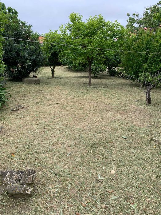 Serviços de limpeza de terrenos e quintal, corte de árvores de médio e pequeno porte