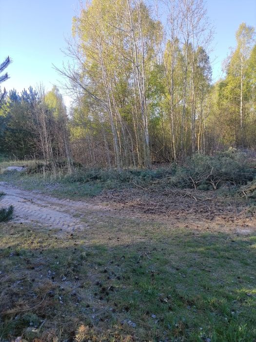 Sprzedam działkę rolno-budowalaną 1.53 ha cicha spokojna okolica