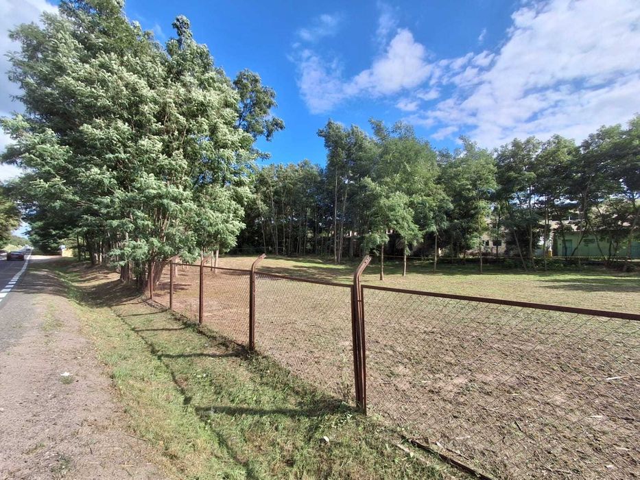 Działka pod dom przy lesie i Zbiorniku Jeziorsko – 1158 m², WZ bezterminowa - Widok 2