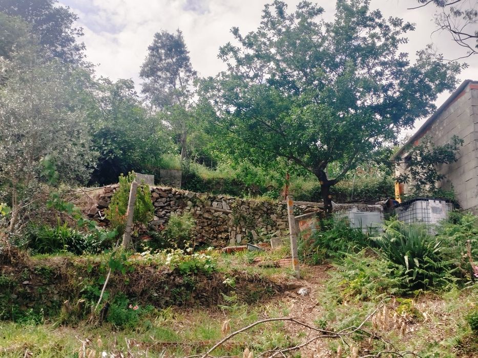 Vende-se Terreno de Cultivo com Currais para Animais – Aveleira - Penacova