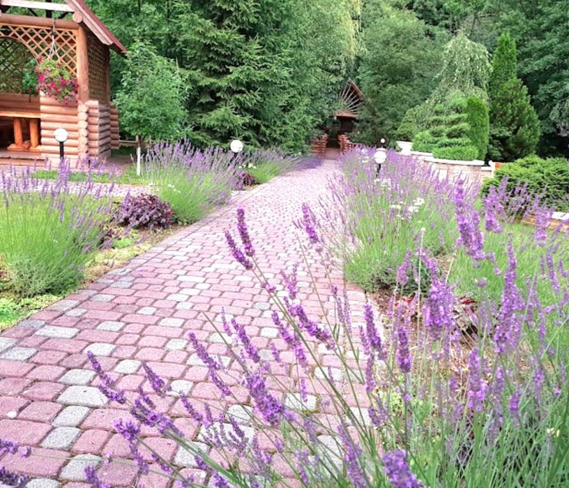 ПРОДАЖ Готельно-ресторанного комплекса "НАТАЛІ" у Закарпатті / село Підполоззя