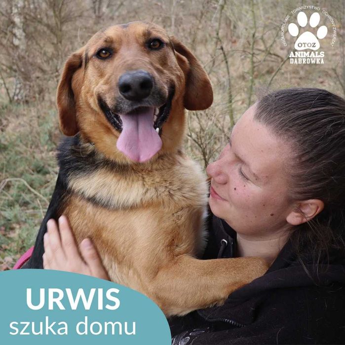 Urwis szuka domu domu !!!