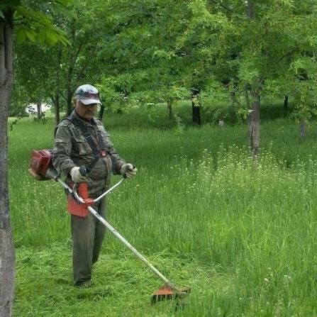 Спил покос мотоблок