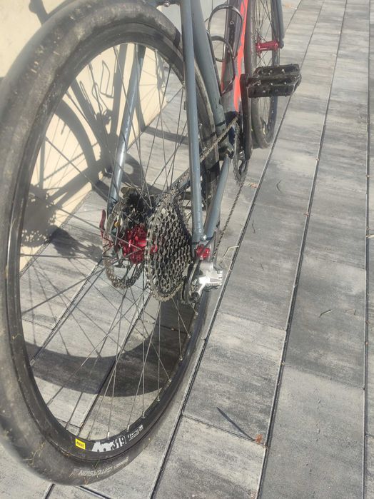 Rower Gravel Poison Taxin