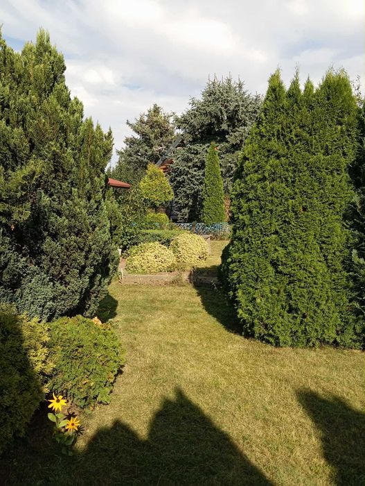 ROD Nadwiślański działka