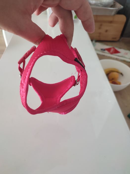 Собачий ошийник повідок Trixie xs-s