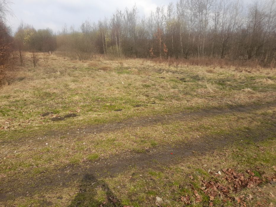 Piękne miejsce koło Przysuchy, Kozłowiec  116 km od Warszawy.