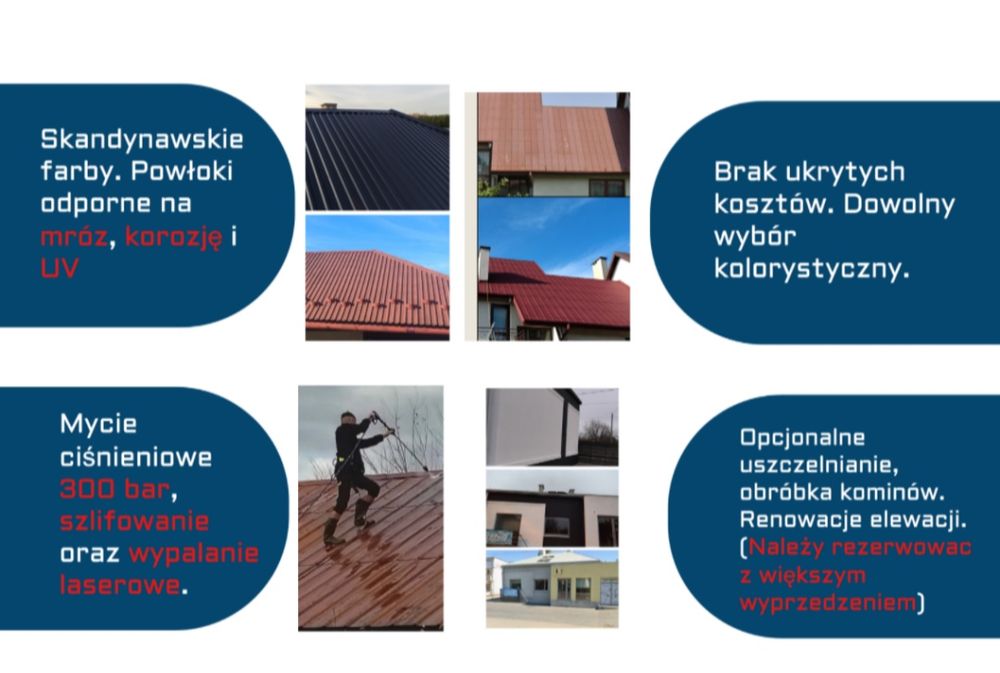 Malowanie i mycie dachów