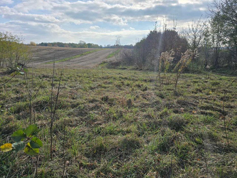 Продаж земельної ділянки с. Липини | 10 сот