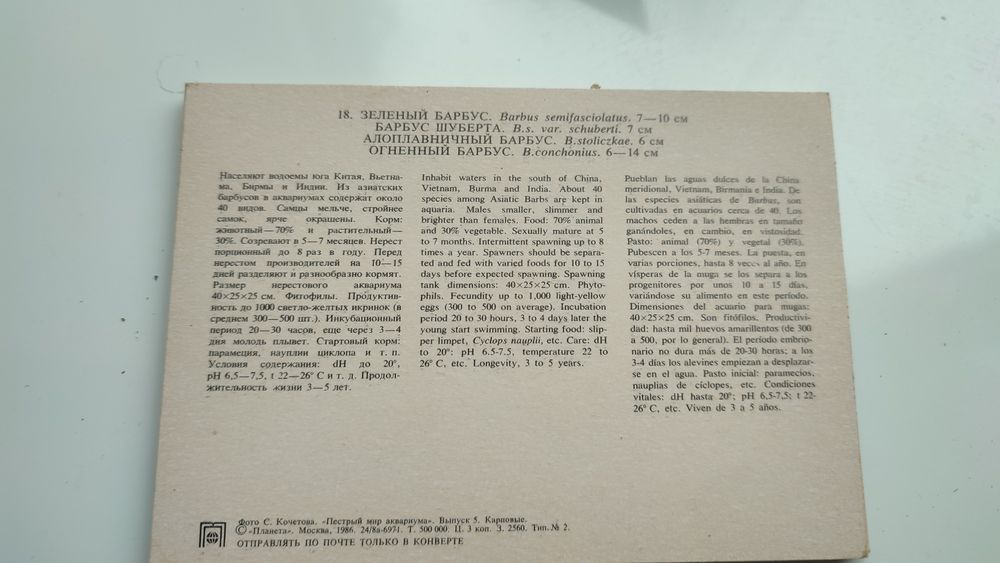 Яскравий світ акваріуму