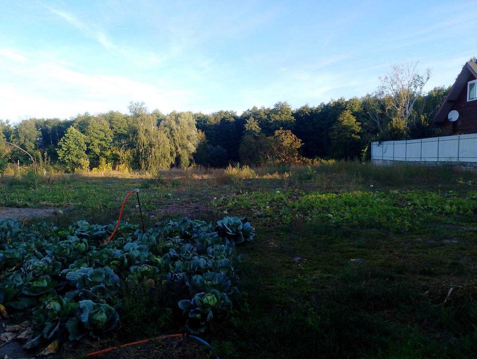 Будинок 109квм 44сот Зазим"я Київ -9км Газ вода електрика 3кім асфальт