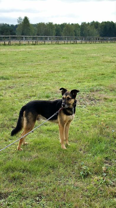 Radek - złamany przez Radysy. Nadal ma nadzieję.