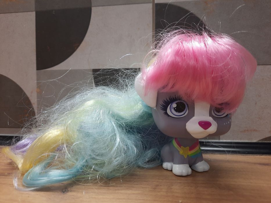 Piesek pets z długimi włosami