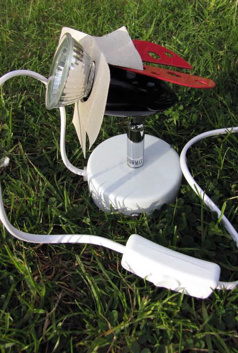 Kinkiet halogenowy Biedronka 50W