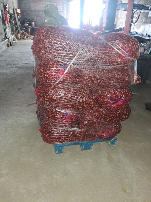 Vendo Castanhas de Qualidade