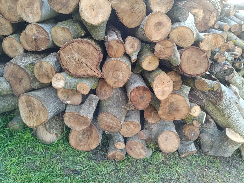 Sprzedam drewno opałowe orzech