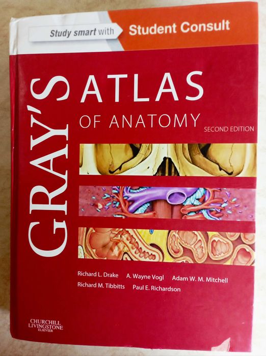 "Атлас анатомии человека". Анатомия человека. Анатомия ребенка. 19 шт.