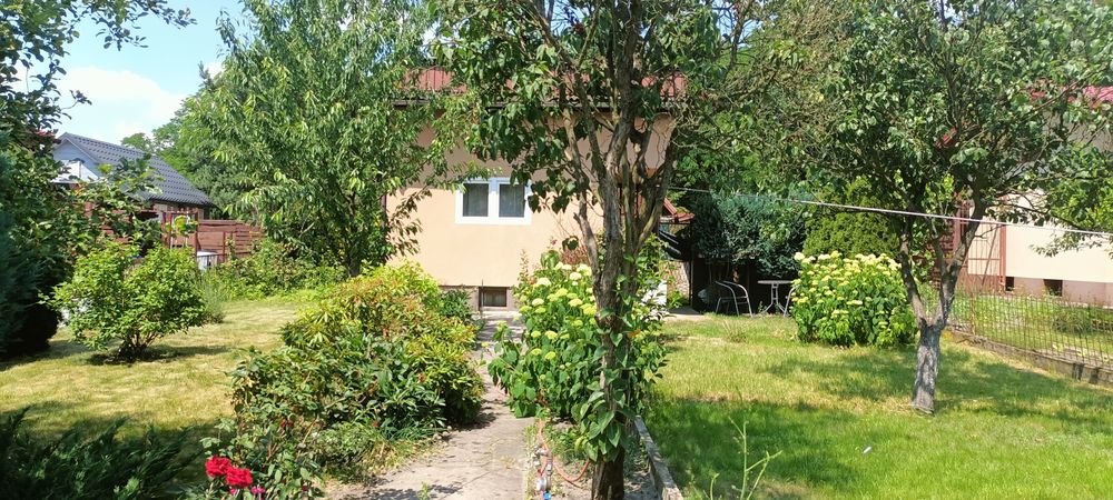 Sprzedam prawo do działki ROD– os.Stałe Jaworzno - Widok 2