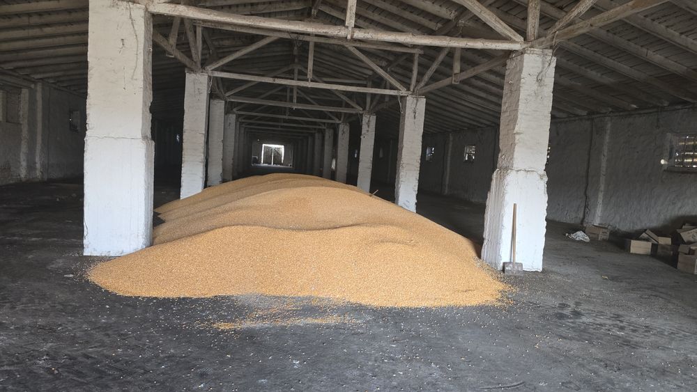 Продам промислову базу ферму