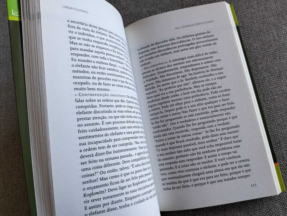 Livro "Lançar o elefante" de Stanley Bing