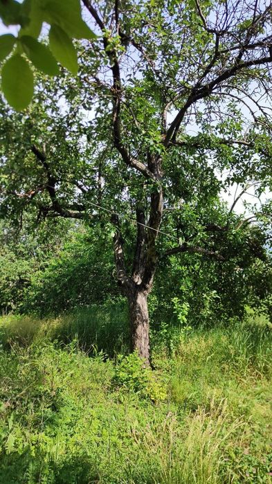 Продається участок в центрі Солоного(обл. Дніпропетровська).